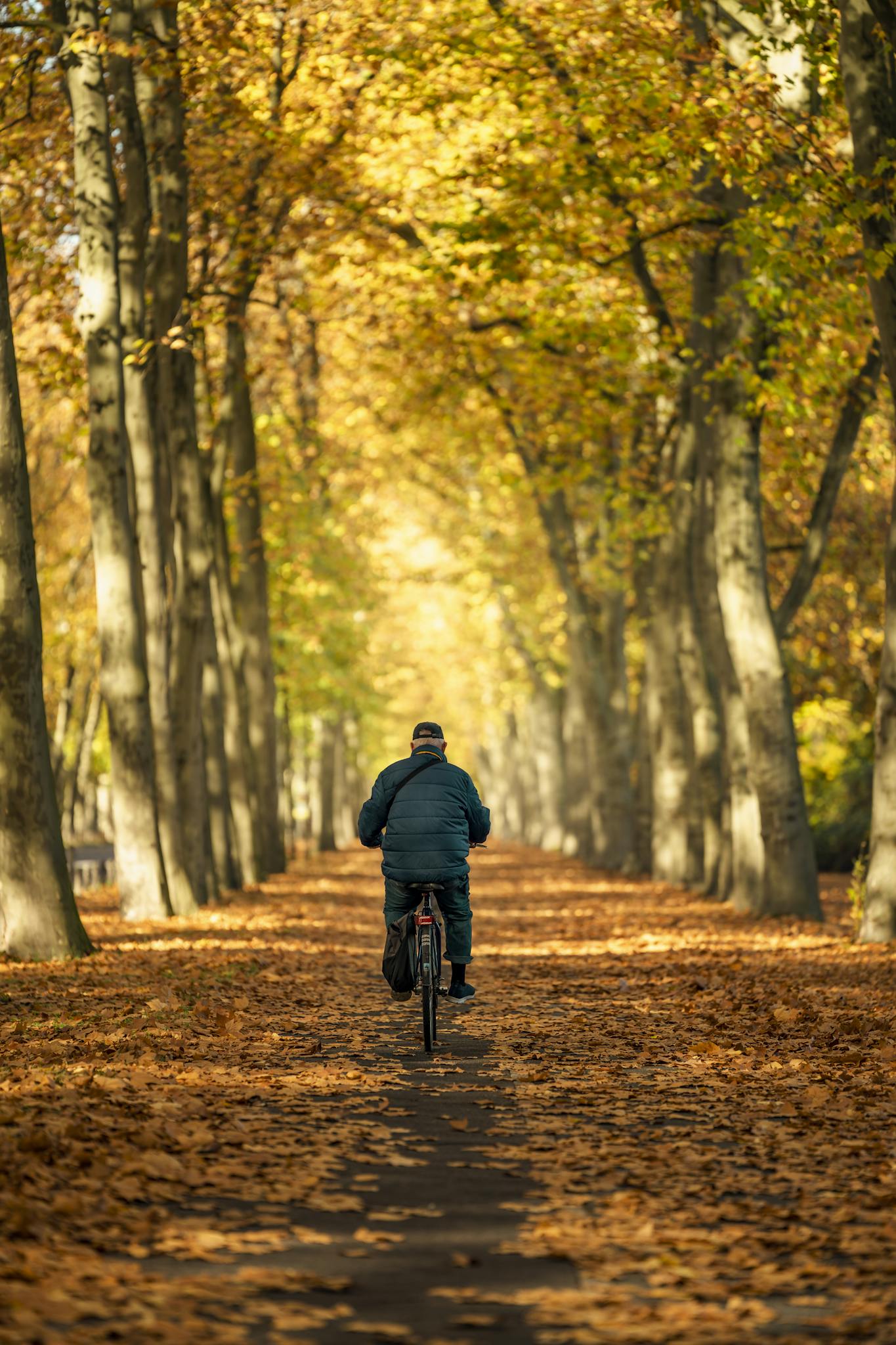 A man cycling through a tree-lined path in Berlin, surrounded by vibrant autumn leaves.