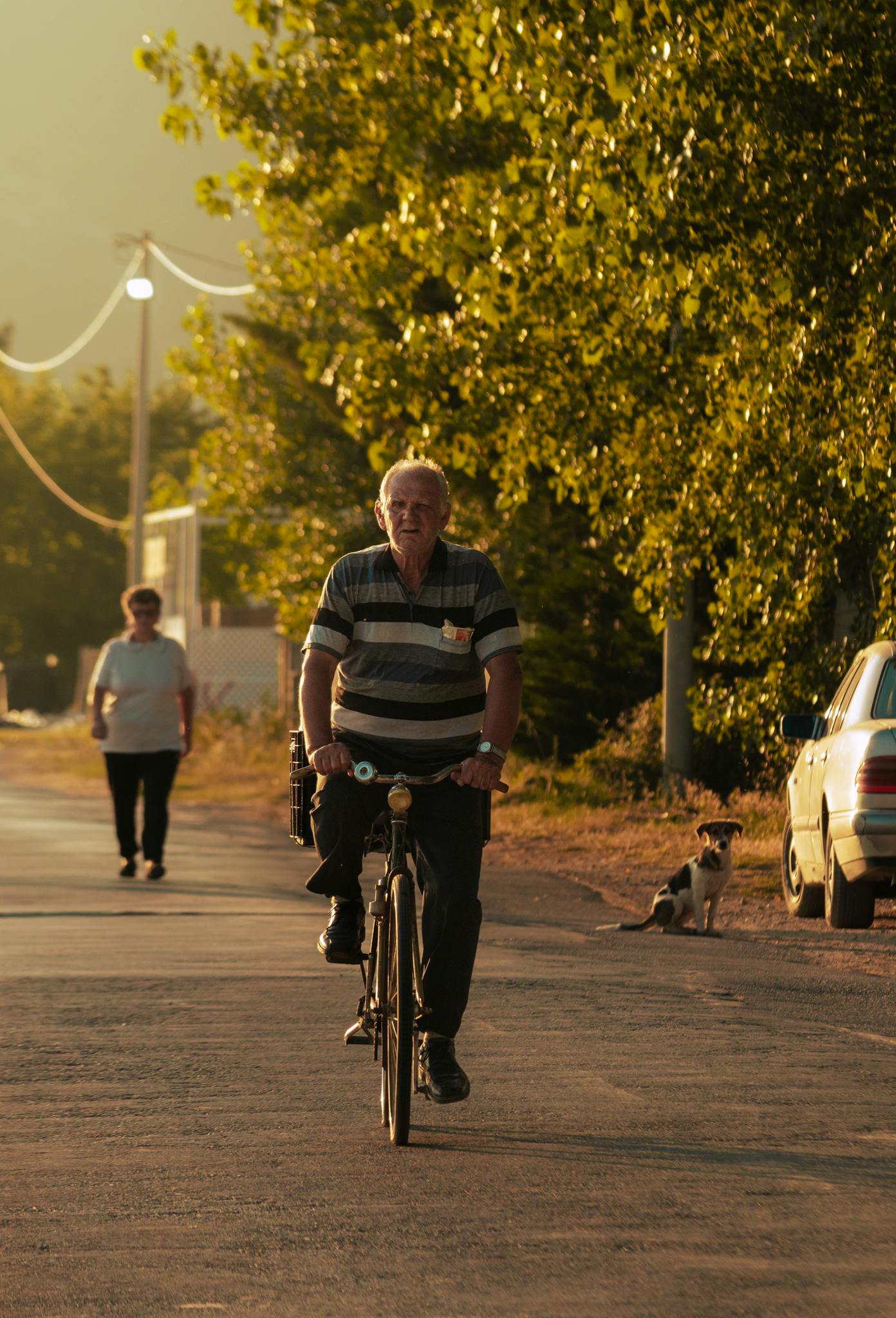 An elderly man riding a bicycle on a tree-lined street in Pogradec, Albania during early morning.